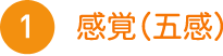 感覚（五感）
