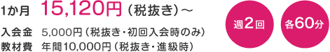 1ヶ月 15,120円（税込み）～ 入会金  4,762円（税込み・初回入会時のみ）教材費  年間10,000円（税込み・進級時） 週2回 各60分