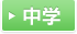 中学