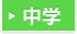 中学