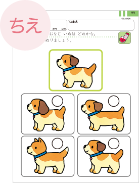 ちえ