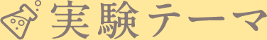実験テーマ