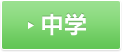 中学