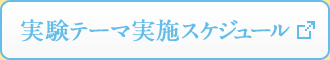 実験テーマ実施スケジュール