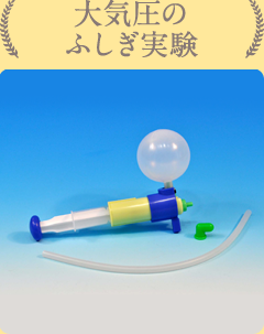 実験テーマ