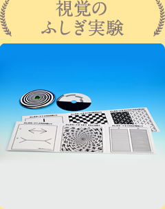 実験テーマ