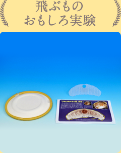 実験テーマ