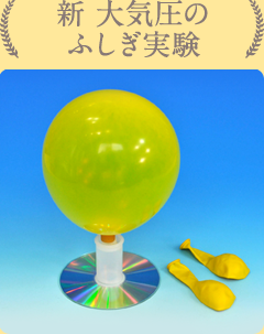 実験テーマ