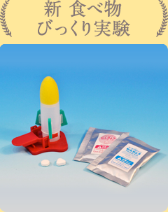 実験テーマ