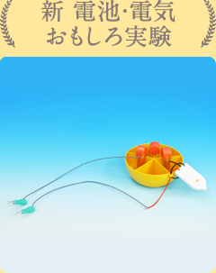 実験テーマ