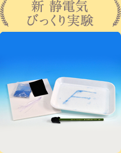 実験テーマ