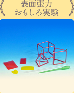 実験テーマ