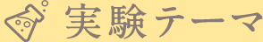 実験テーマ